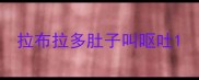 拉布拉多肚子叫呕吐