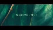 猫咪何时长牙换牙