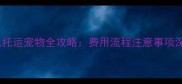 飞机托运宠物全攻略费用流程注意事项深度
