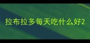 拉布拉多每天吃什么好