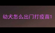 幼犬怎么出门打疫苗