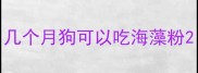 几个月狗可以吃海藻粉