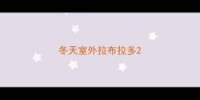 冬天室外拉布拉多