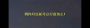 狗狗月经前可以打疫苗么