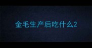 金毛生产后吃什么