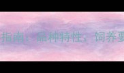 吉娃娃泰迪串培育指南品种特性饲养要点及健康隐患全