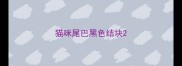 猫咪尾巴黑色结块