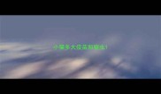 小猫多大疫苗和驱虫