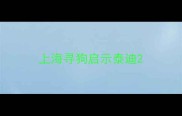 上海寻狗启示泰迪