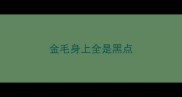 金毛身上全是黑点