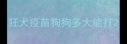 狂犬疫苗狗狗多大能打