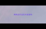 狗狗没打过狂犬疫苗吗