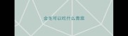 金毛可以吃什么青菜