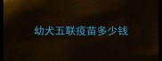幼犬五联疫苗多少钱