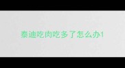 泰迪吃肉吃多了怎么办