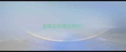 蓝眼边牧黑白照片