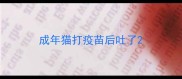 成年猫打疫苗后吐了