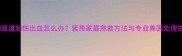 小狗肠道划伤出血怎么办紧急家庭急救方法与专业兽医处理指南