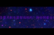 拉布拉多夏天剃毛是智商税吗附全网最全护理指南