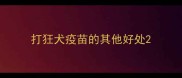 打狂犬疫苗的其他好处