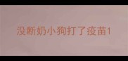 没断奶小狗打了疫苗