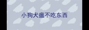 小狗犬瘟不吃东西