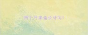 两个月泰迪长牙吗
