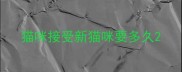 猫咪接受新猫咪要多久