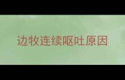 边牧连续呕吐原因