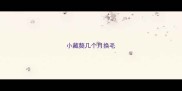 小藏獒几个月换毛