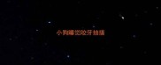 小狗睡觉咬牙抽搐