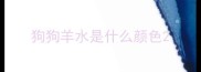 狗狗羊水是什么颜色