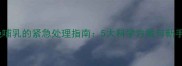幼犬出生后拒绝哺乳的紧急处理指南5大科学方案与新手家长必知要点