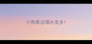 小狗最近喝水变多