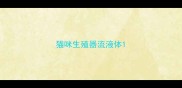 猫咪生殖器流液体
