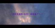 边牧单蓝眼失明真相来了