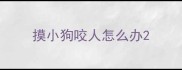 摸小狗咬人怎么办