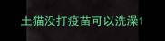 土猫没打疫苗可以洗澡