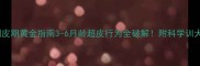 狗狗调皮期黄金指南3-6月龄超皮行为全破解附科学训犬法