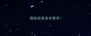 猫咪检查身体费用