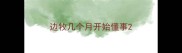 边牧几个月开始懂事
