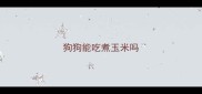 狗狗能吃煮玉米吗