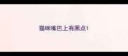 猫咪嘴巴上有黑点