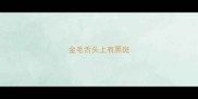 金毛舌头上有黑斑