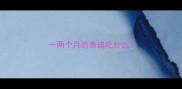 一两个月的泰迪吃什么