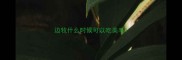 边牧什么时候可以吃美毛