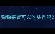狗狗感冒可以吃头孢吗