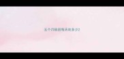 五个月秋田每天吃多少