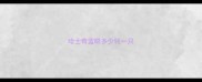 哈士奇蓝眼多少钱一只