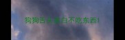 狗狗舌头发白不吃东西